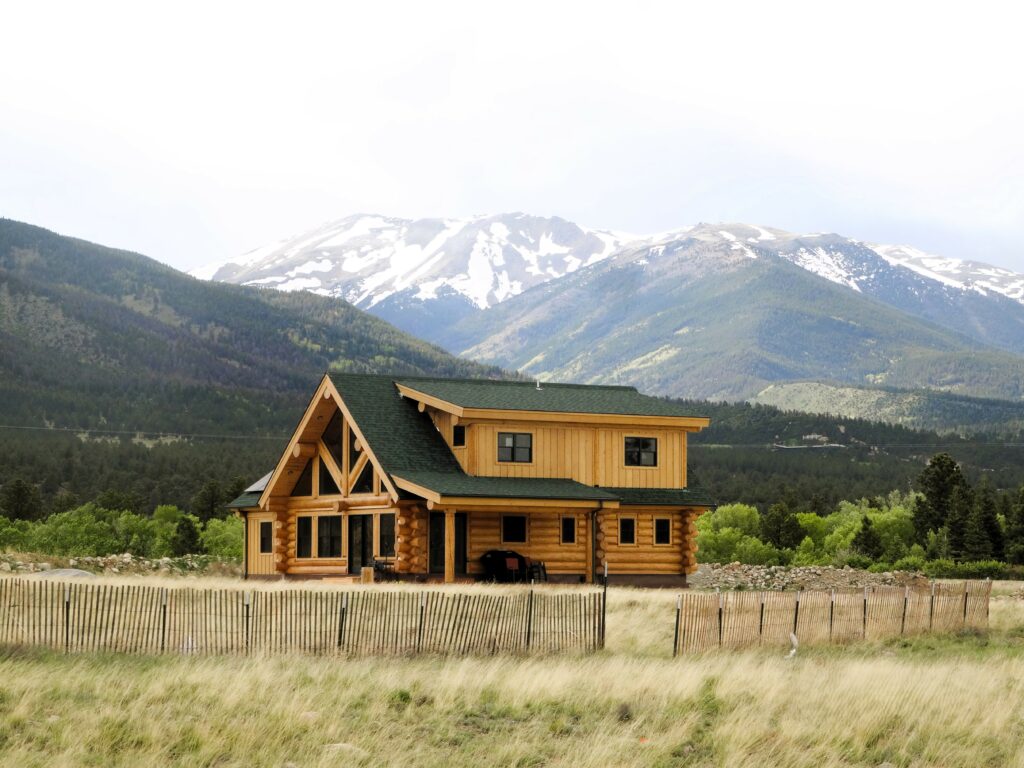 Buena Vista 01